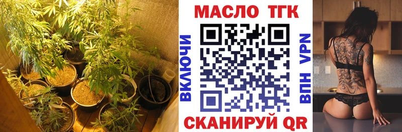 darknet телеграм Карабаш ТГК вейп